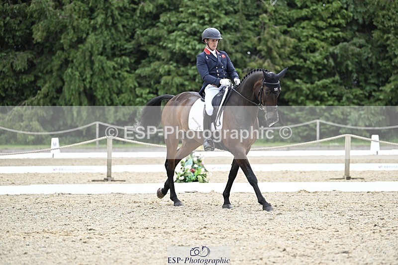 000101-204032-04177 - 413-BROOKFIELD_QUALITY-Tom_McEwen