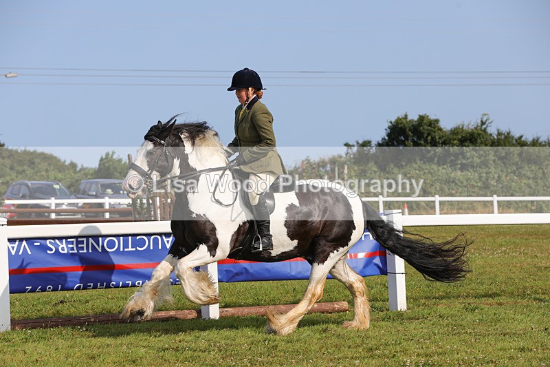 1X9A3290 - Class 28: Ridden Native/Trad Coloured Pony