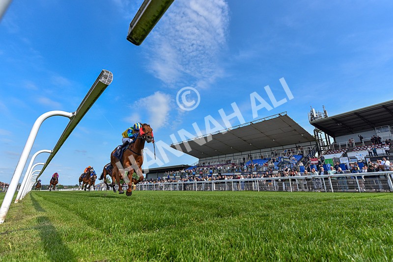 270526-Race 6-Sisterandbrother-9083 - Race 6 16.50pm Up The Tigers Handicap