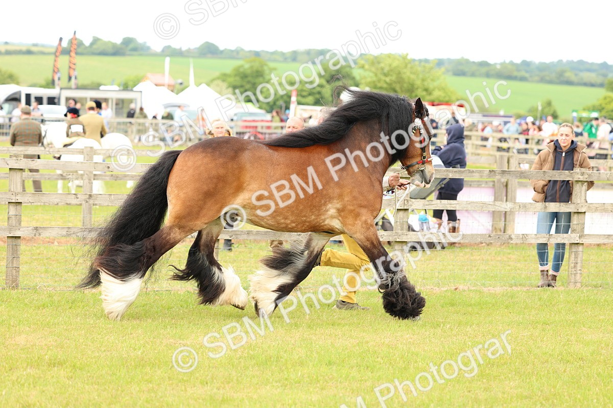 SBM_06282 - Class 39-41 TGCA In Hand and Ridden