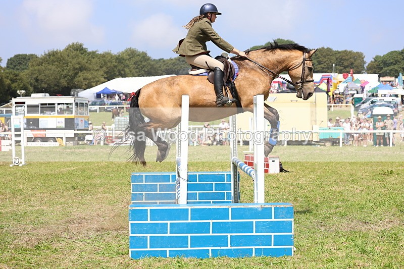 3E7A2987 - Class 7: Senior British Novice/90cm open