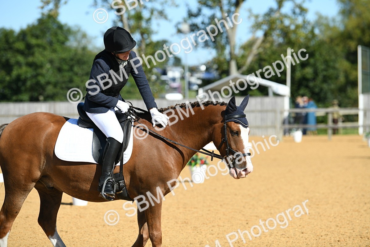 SBM_18157 - D4 - Small Tour Championship - Intro B