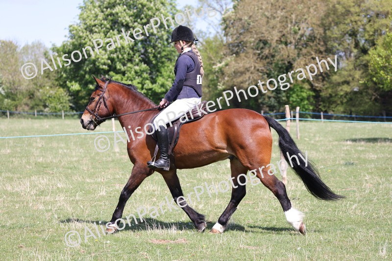 20250427-3203 - Class 33 - Best Pony 14.2hh and Under