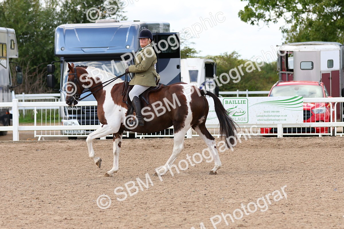 SBM_13203 - Class 211 - Ridden Hunter - Small