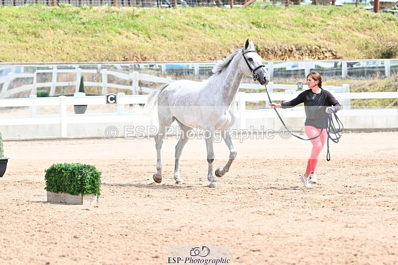 240717A-144340-02240 - Trot Up 2pm to 3pm - This folder is not in time order