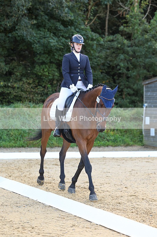 3E7A2527 - Class 1: Intro 4 2024 section A