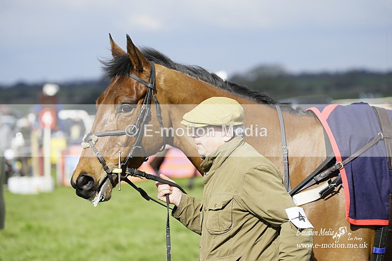 PtP 060322 136 - Blackmore & Sparkford Vale Hunt PtP 06/03/22
