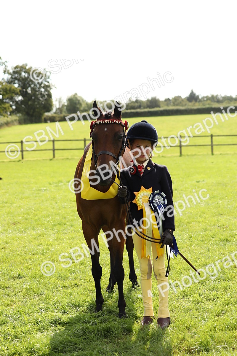 SBM_66349 - In Hand Pony & Youngstock Supreme Championship