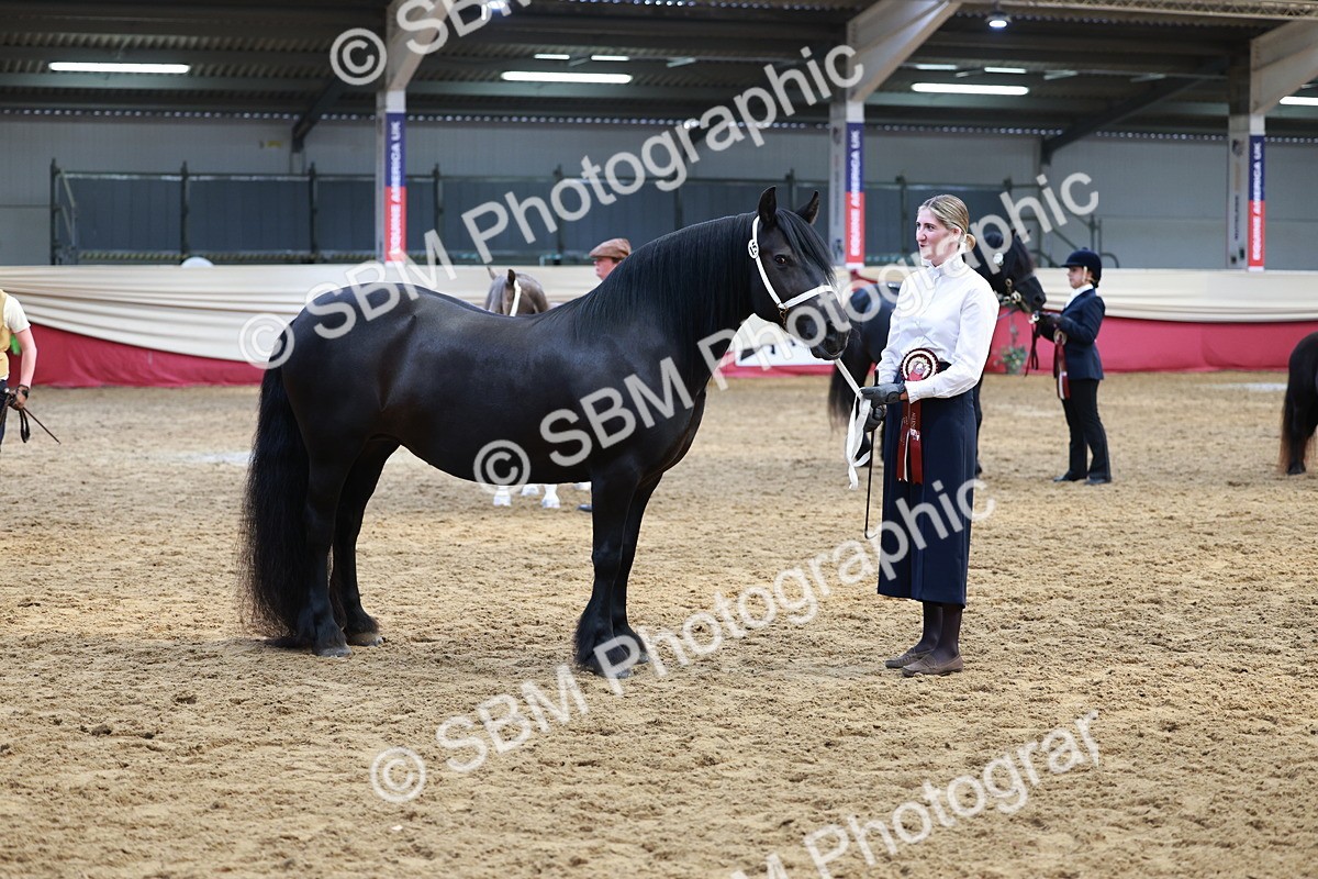 SBM_17607 - Class 951 - M&M IH Supreme Final