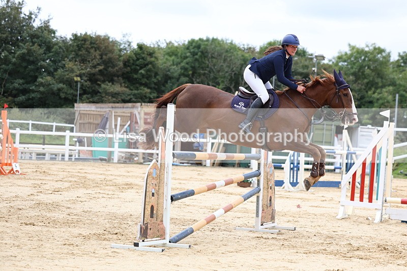 3E7A3362 - Class 9: Senior Foxhunter/1.20 open