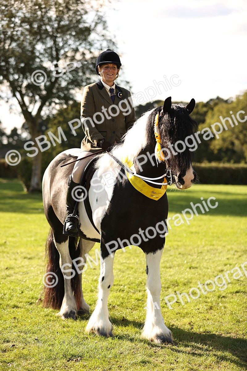 SBM_26470 - S6 - Novice & Newcomers Ridden Horse