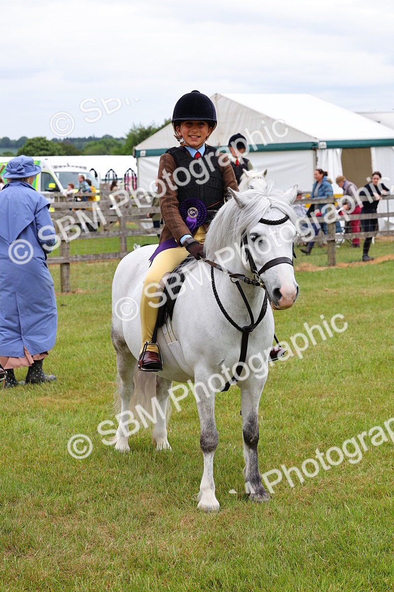 SBM_08867 - Class 42-43 - LIHS BSPS Heritage Working Sports Pony