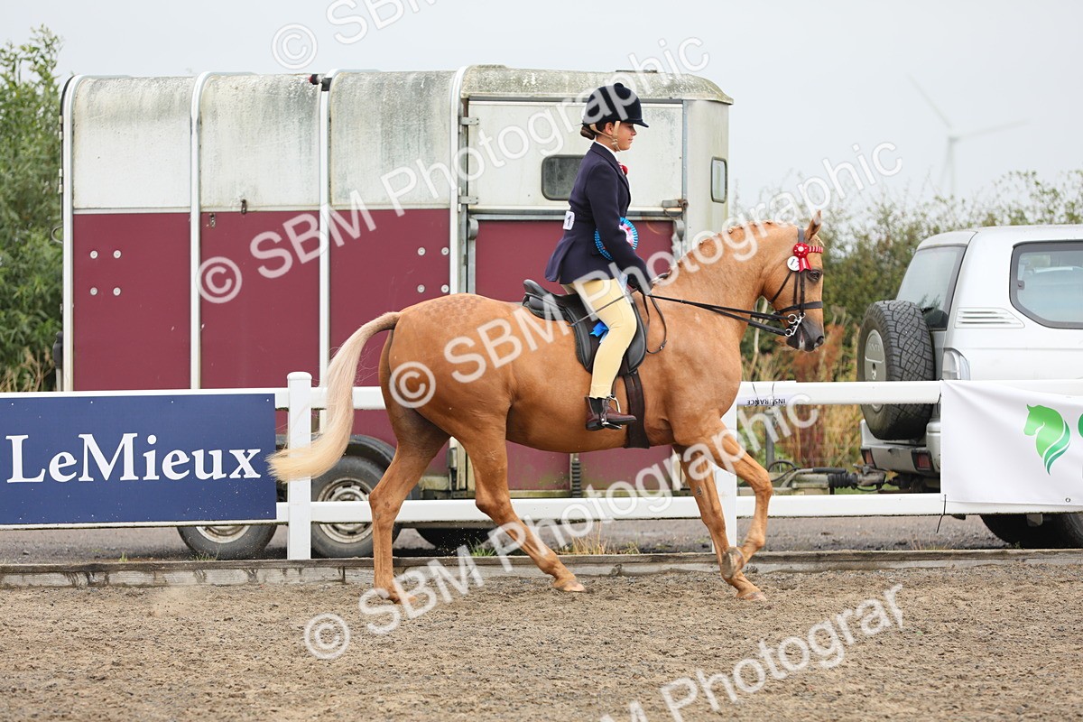 SBM_22404 - Class 807 - Young Rider 11 to 16 Yrs