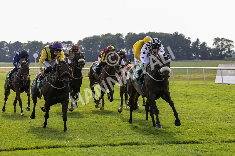 240624-Race 8-Le Beau Garcon-0611 - Race 8