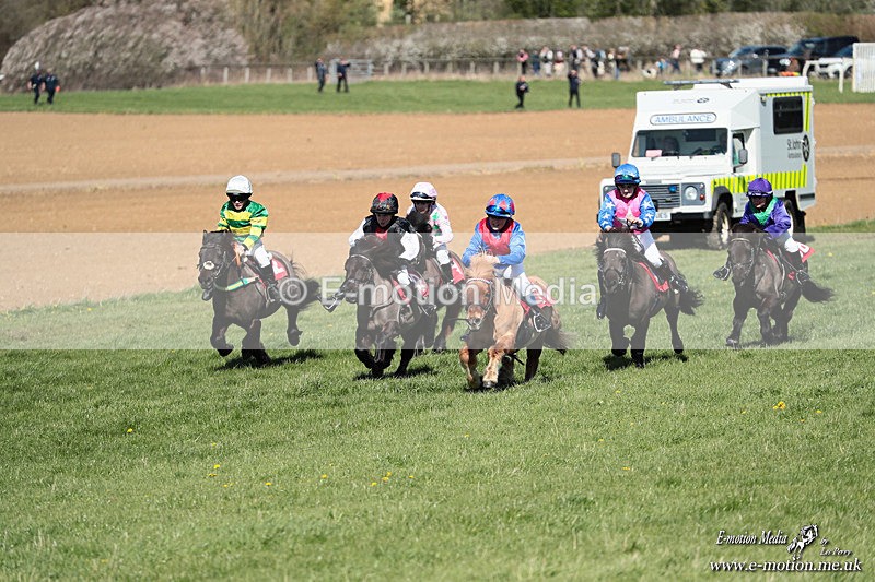 Shet 060426 248 - Shetland Pony Racing Paxford Races Easter Mon 06/04/26