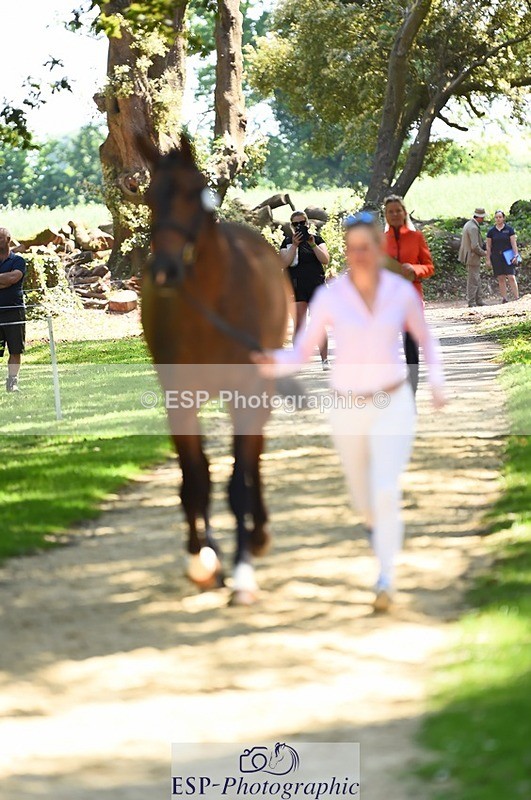 230524-150358-00041 - 305-BARRINGTON_57-Izzy_Taylor-WEDTrotUp+DR