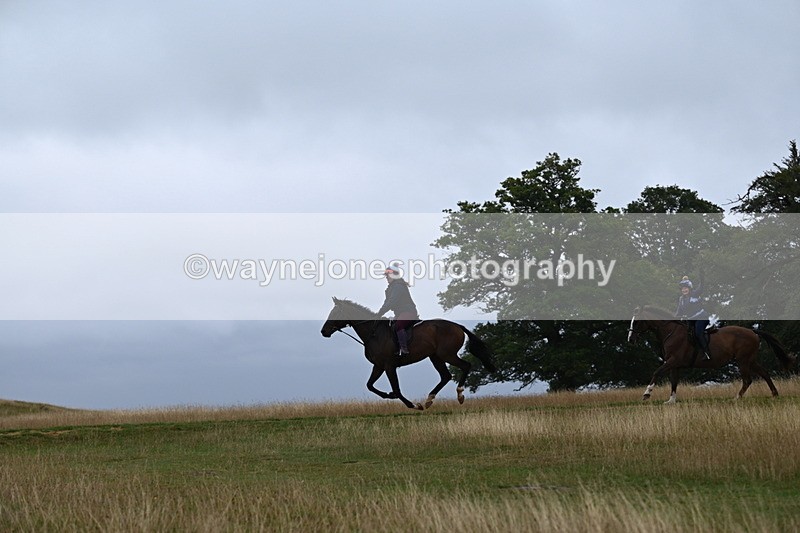 DSC_0131 - Time at Statue 09:51 to 10:54