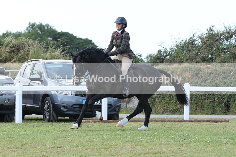 JPP_2353 - Class 19: Working Hunter 60cm