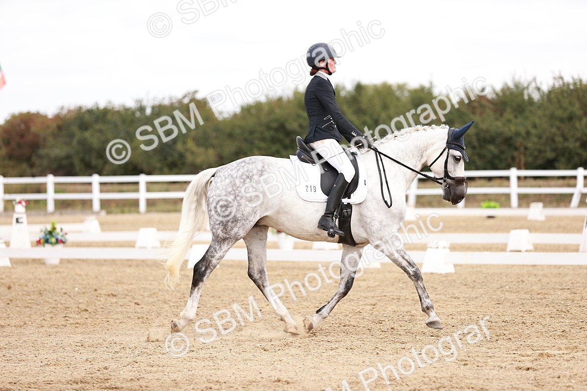 SBM_018004 - Class 15 - Prelim 6