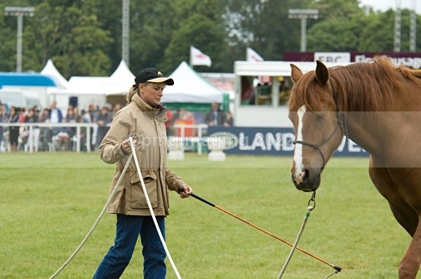  - Windsor Horse Show