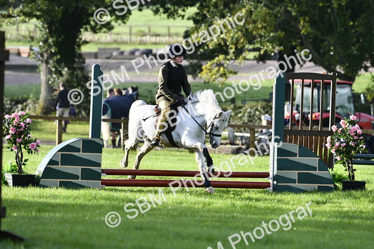 SBM_35403 - S30 - Nursery Stakes Working Hunter Pony
