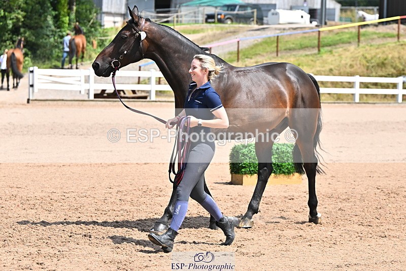240718A-105257-01377 - Trot Up 12pm to 1pm