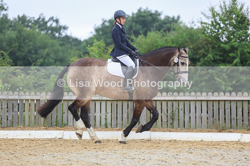 3E7A9007 - Class 3: Prelim 3 2024 - Section A