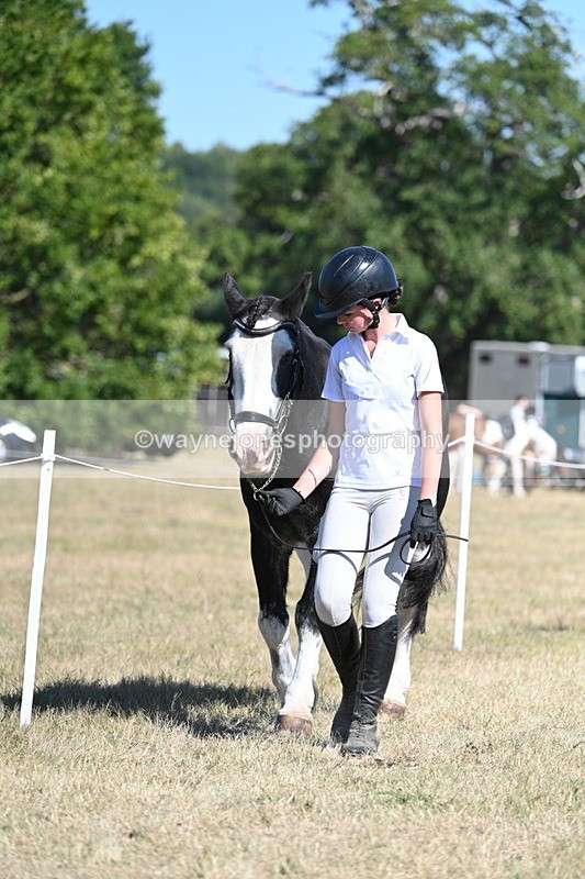 WJ7_1796 - Class 43 Best Six Legs (In hand)