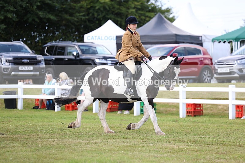 3E7A9643 - Class 5: Rising Star Lightweight/Heavyweight Cobs