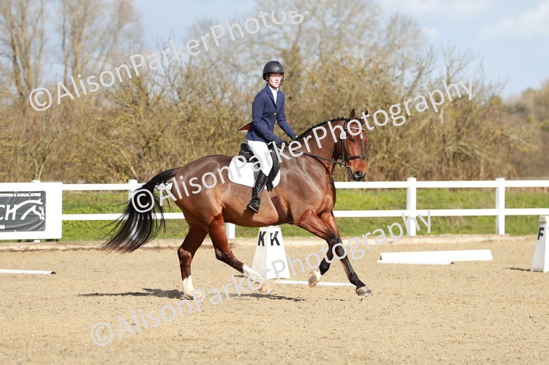 20260314-4423 - DR4 - Prelim 2