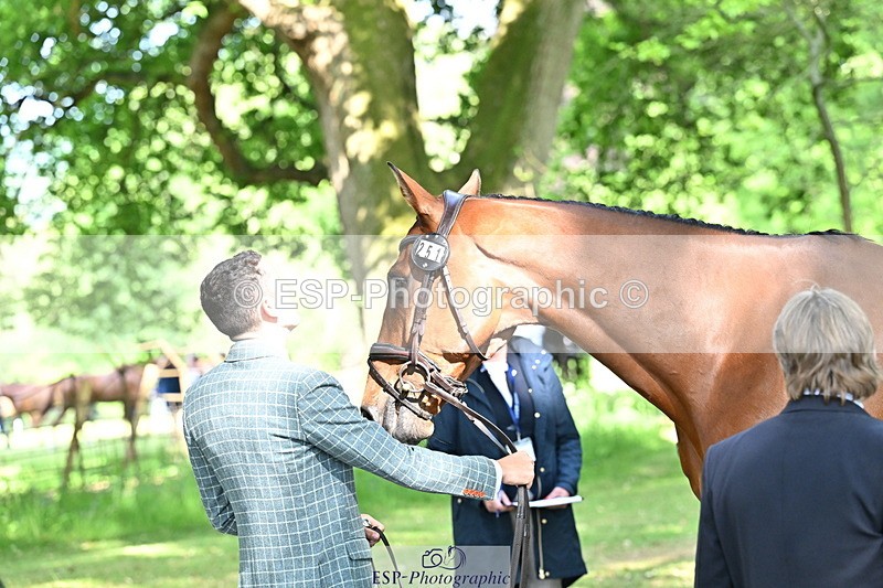 250521A-163926-01262 - C-251-Freddie.Carden-MBF.VITAL.FINESSE