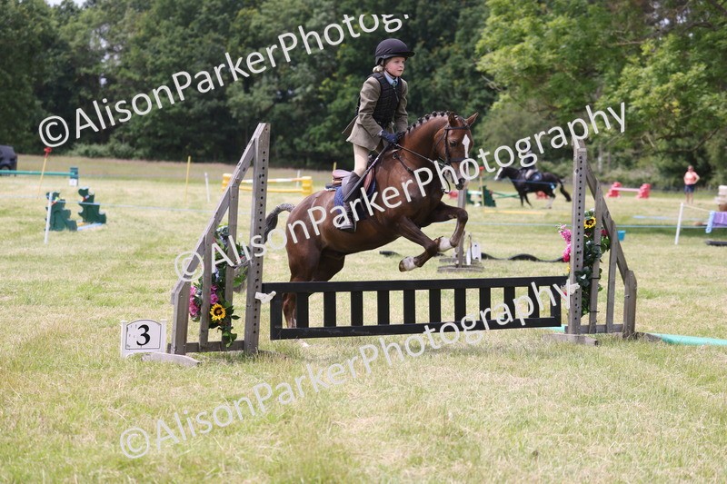 20260614-2843 - Class 22 - Open Working Hunter