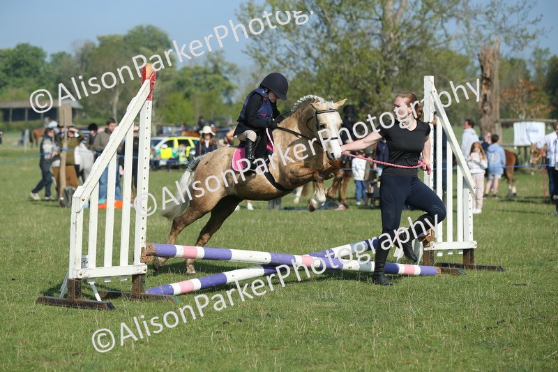 20250427-0861 - Class 1 - Mini Jumping Lead Rein or Assisted