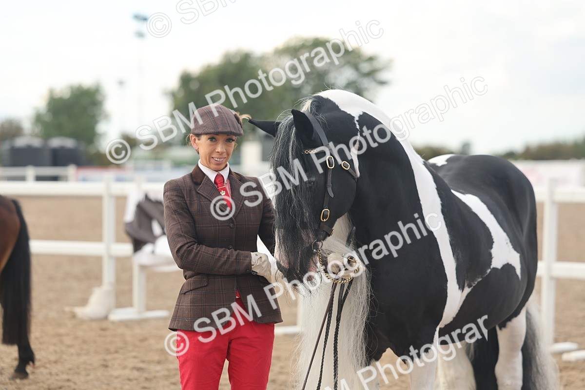 SBM_08564 - Class 29 - IH Veteran Pony