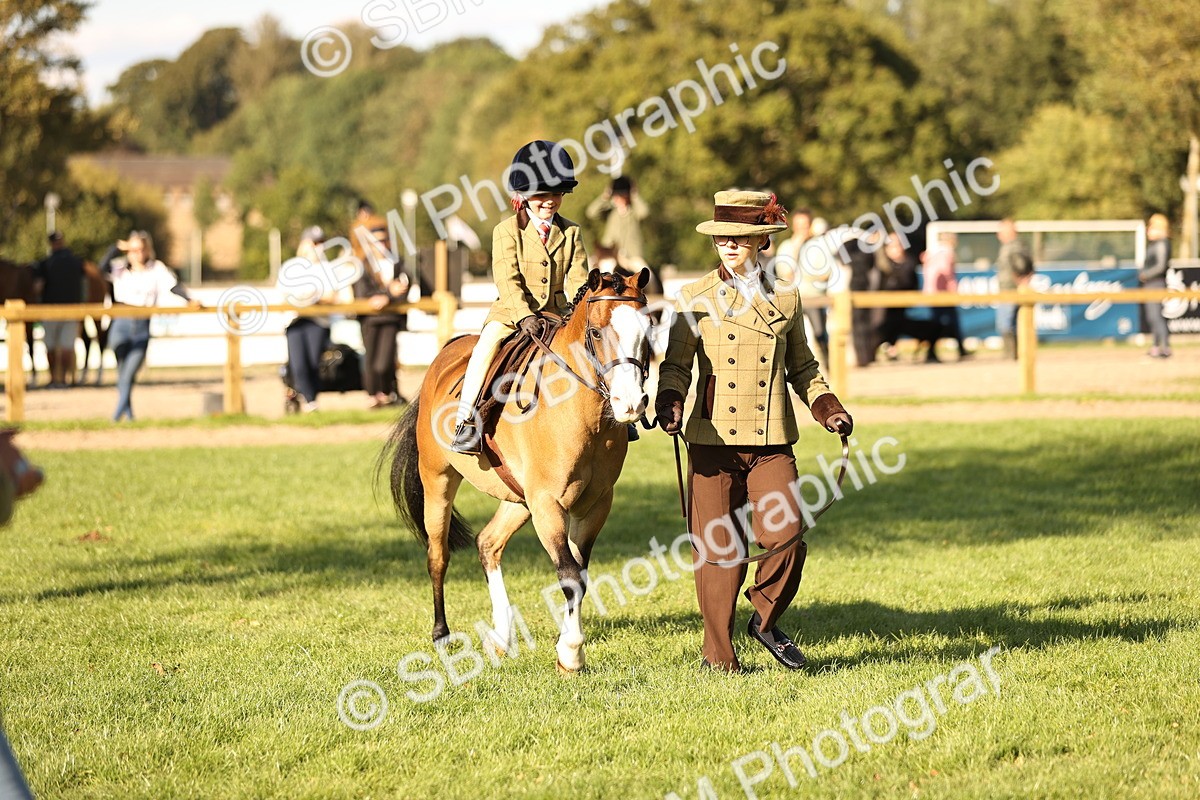 SBM_29373 - S7 - Novice & Newcomers Ridden Pony