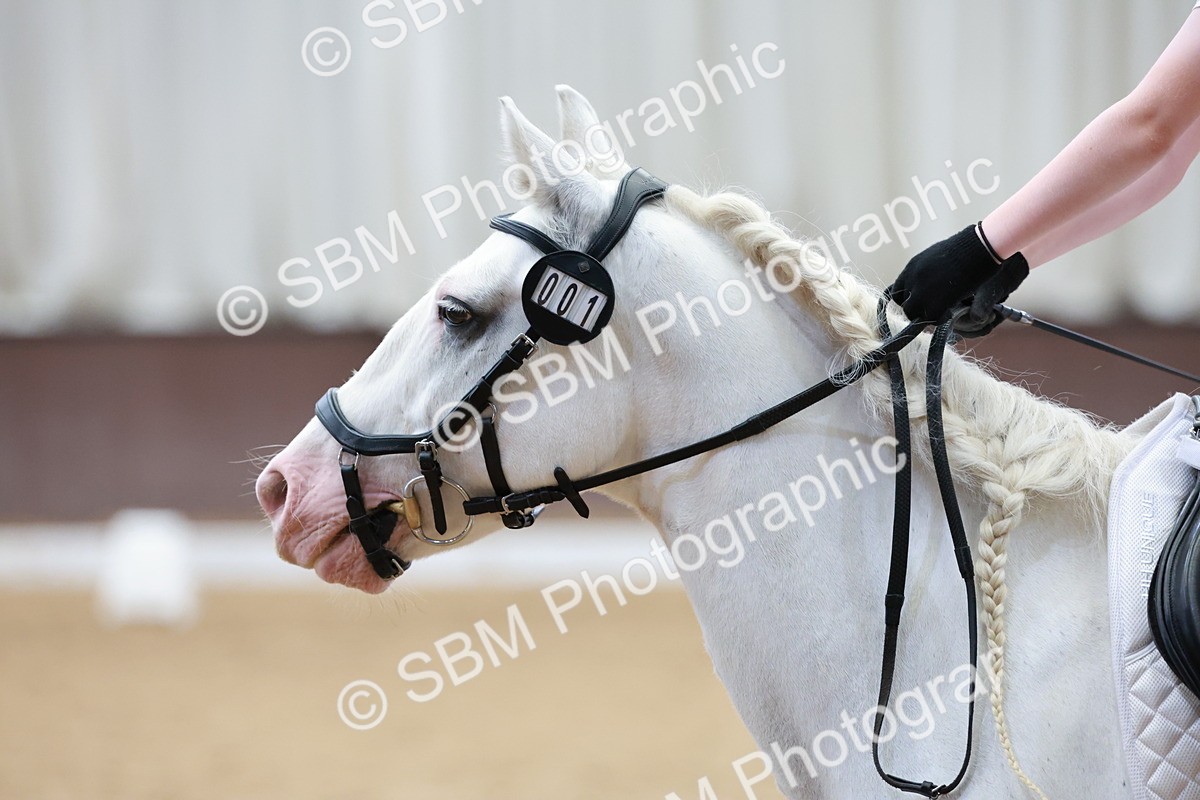 SBM_013255 - Class 1-2-3-4 - MQ Open U21 Intro 1-2