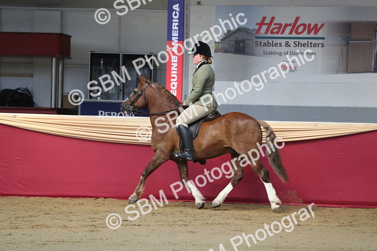 SBM_01970 - Class 4a Area Ridden Diamond