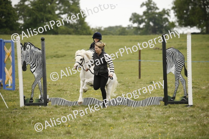 20250517-0193 - Class 1 - 30cm On Lead Rein