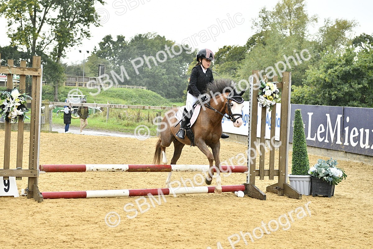 SBM_70814 - J3 - Mini Tour Junior Pony 40cm championship