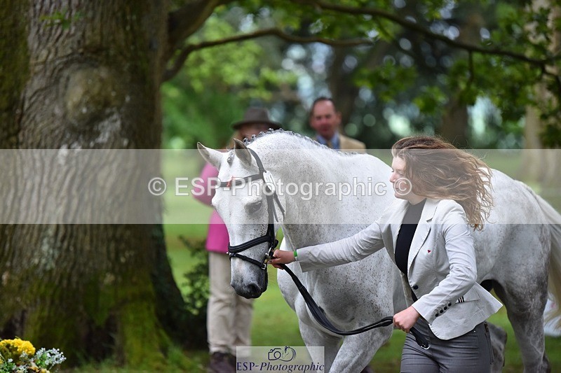 240522-172928-01646 - 291-UPSI_BRITANNIA-Ellie_Fredericks