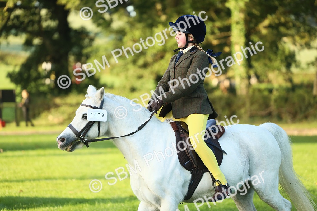 SBM_37173 - S29 - Novice & Newcomers Working Hunter Pony