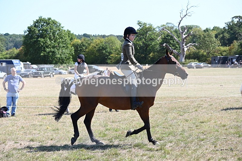 WJ6_8369 - Class 37a Best Loan Pony Ridden