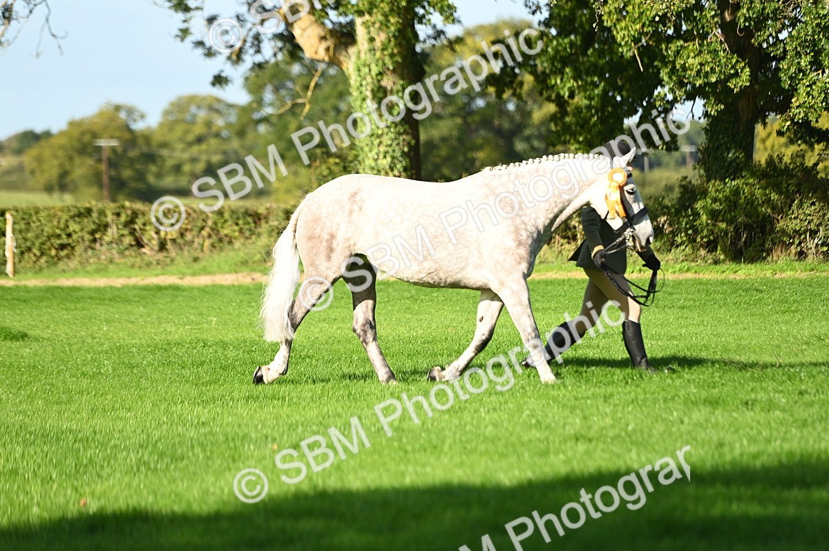 SBM_15815 - S1 - TSR in Hand Horse & Pony Showing