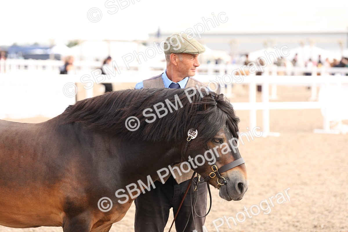 SBM_15115 - Class 209 - IH Veteran Pony