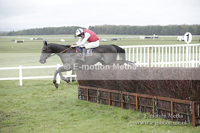 PtP 150320 0413 - New Forest Point-to-Point Larkhill 15/03/20