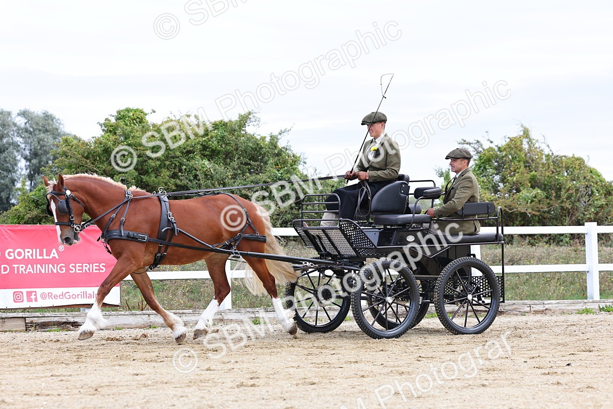 SBM_000438 - Class 4 - Junior Whip