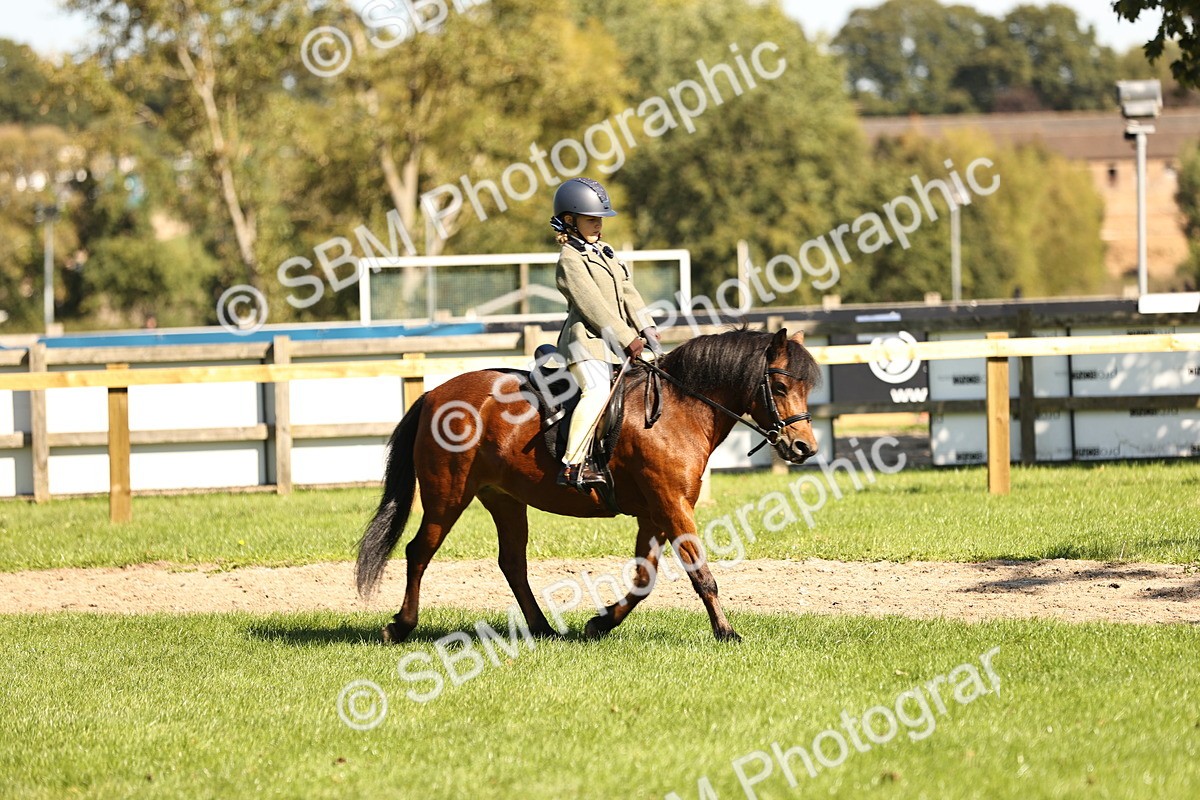 SBM_19253 - S3 - TSR Ridden Pony Showing