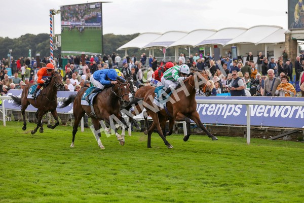 220824-Race 6-Angel Hunter-7863 - Race 6 4.45pm sensory-junction.co.uk Autism Awareness EBF Stallions Nursery Handicap