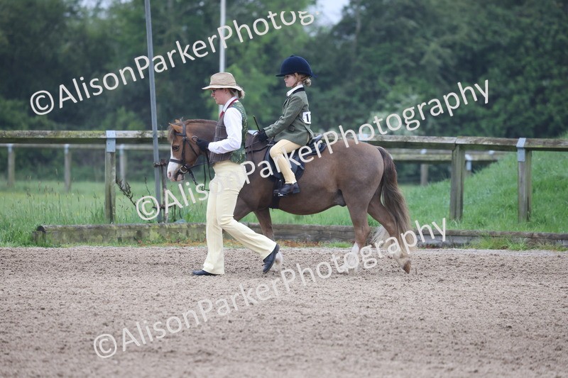 20260504-0084 - Class 9 - Lead Rein Pony
