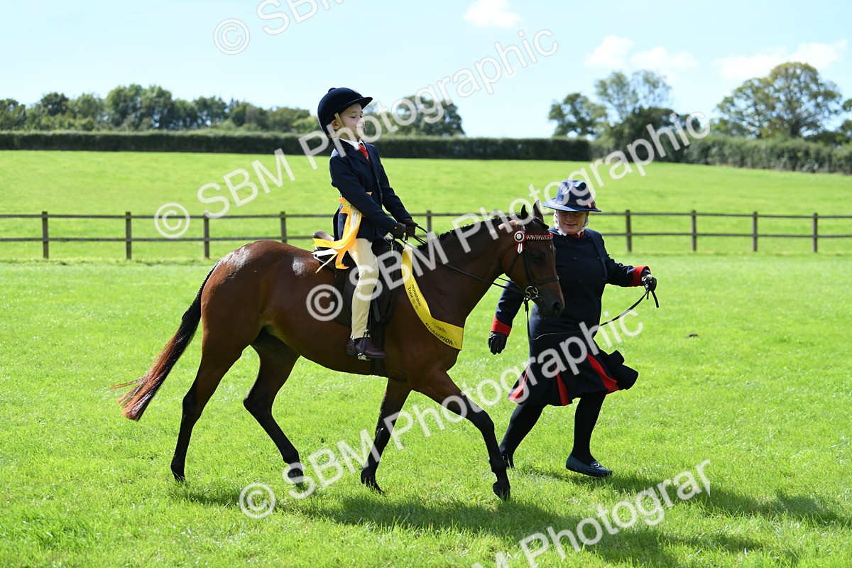 SBM_41275 - S19 - Lead Rein Show & Show Hunter Pony